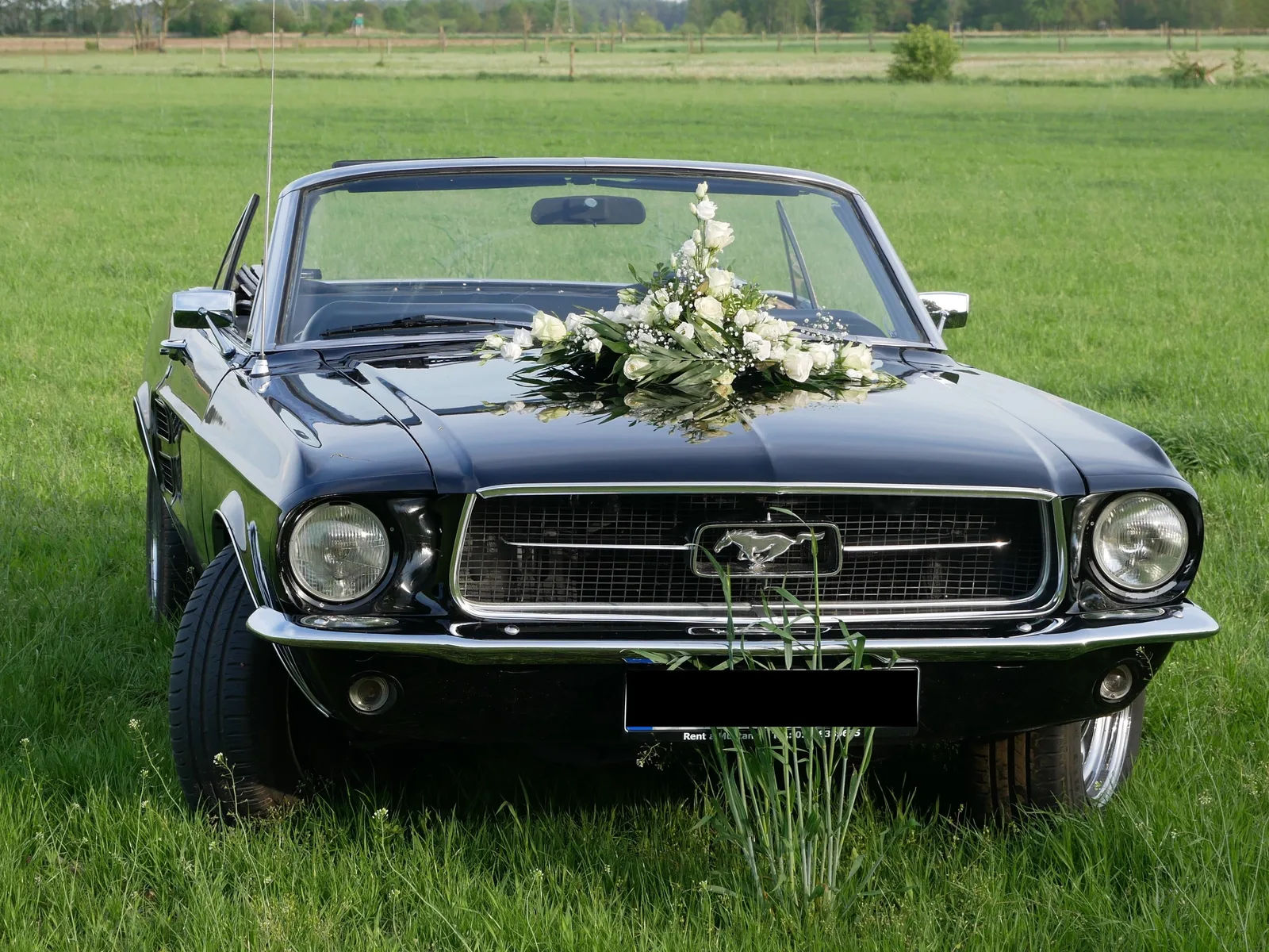 Schwarzer Mustang mit weißem Hochzeits-Blumenschmuck auf der Haube